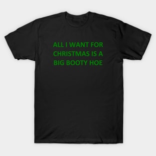 ALL I WANT FOR CHRISTMAS IS A BIG BOOTY HOE T-Shirt